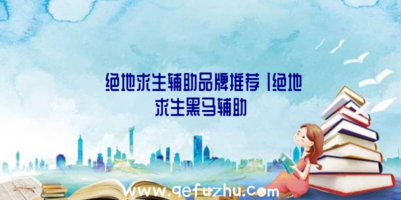 「绝地求生辅助品牌推荐」|绝地求生黑马辅助